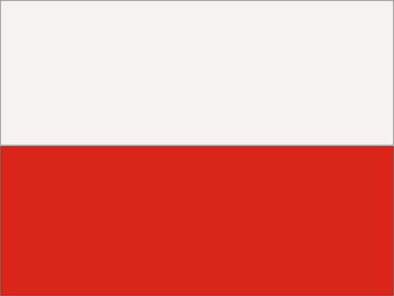 przejście do wersji polskiej